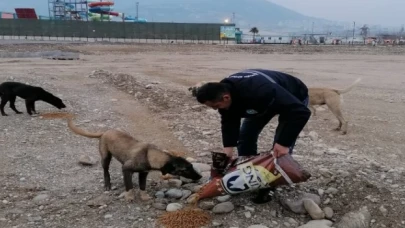 Manisa afet bölgesindeki can dostlarını unutmadı