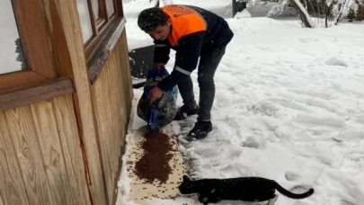 Mardin Büyükşehir’den can dostlara mama desteği