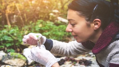 Türkiye’den en az 21 öğrenciye, Birleşik Krallık’ta burs fırsatı