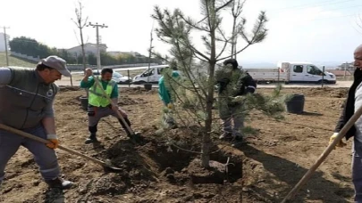 Akhisar’da 64 Fidan Toprakla Buluştu