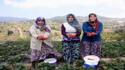 Başkan Aykurt duyurdu: Kırsalda üretim yapana müjde!