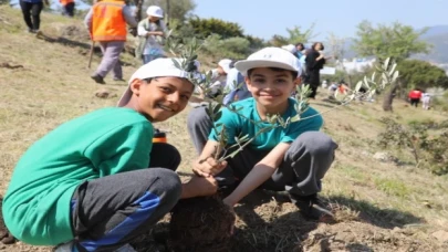 Bodrum’da zeytin fidanları toprakla buluştu