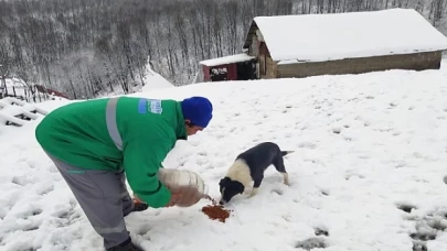 Canik’te Can Dostları Yalnız Bırakılmıyor