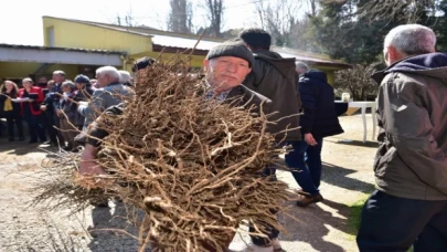 Çiftçiye erik ve hünnap desteği