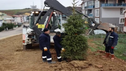 Kocaeli İzmit’te ağaçlandırma çalışması