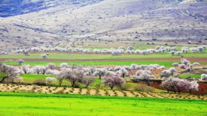 Mardin Yeşilli’de renk cümbüşü