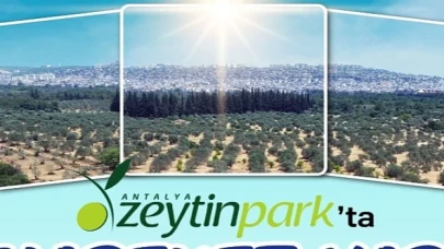 Zeytinpark’ta Hareket Var!