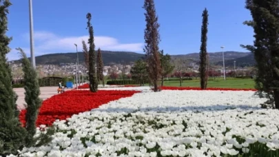 Baharın tüm renkleri Bursa’yı sardı