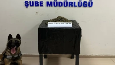 Bingöl’de uyuşturucu madde ticaretine 1 tutuklama