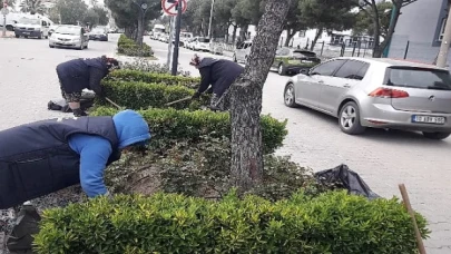 Burhaniye’de yabani ot temizliği çalışmaları başladı