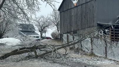 Kanada'da buz fırtınası: Bir milyondan fazla kişi elektriksiz kaldı