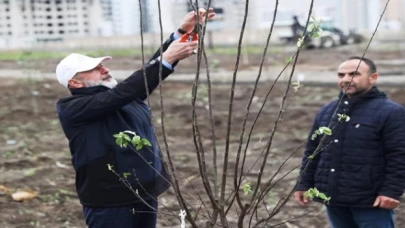 Kayseri Kocasinan’dan meyve bahçeli park projesi