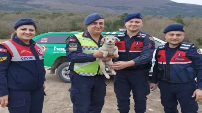 Sokak hayvanlarına Jandarma şefkati