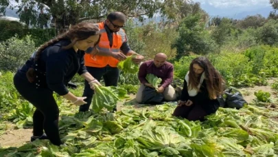 ’Tarıma destek ol Hatay’ hayata geçirildi