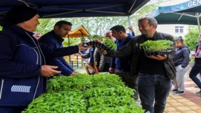 Ücretsiz fideyi alan tarlaya koştu