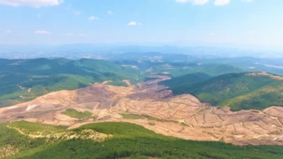 Cengiz’in Kazdağları’ndaki kıyım isteğine dava açıldı