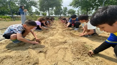 Efes Selçuklu çocuklar fideleri toprakla buluşturuyor