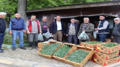 İzmit’te fideler kırsala dağıtılıyor