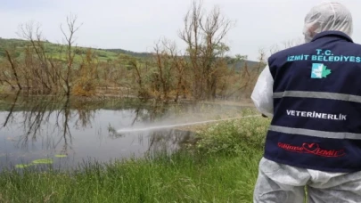 İzmit’te larva ile mücadele çalışmaları hızlandı