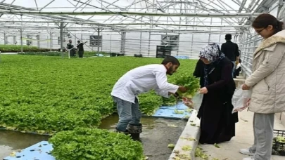 Jeotermal Seranın İlk Ürünleri Haymanalılara