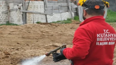 Kütahya’da ilaçlama çalışmaları sürüyor