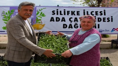 Üreticiler yeniden ada çayı fidesi ile buluştu