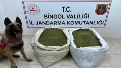 Bingöl’de uyuşturucu operasyonu