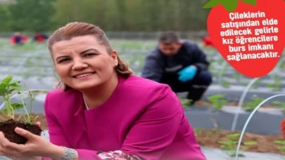 Çilek Köyü’nde hasat zamanı! Geliri eğitimde kullanılacak