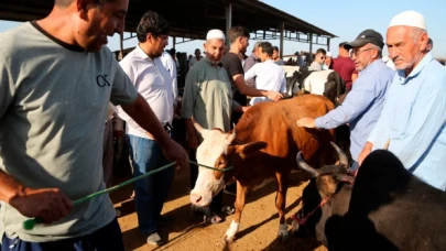 Hayvan pazarlarında satışı gerçekleşmeyen kurbanlıkları Et ve Süt Kurumu alacak