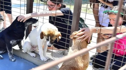 İzmirliler PAKOFEST’te patili dostlarla buluştu