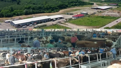 Karadeniz’in en büyük mezbahası Kurban’a hazır