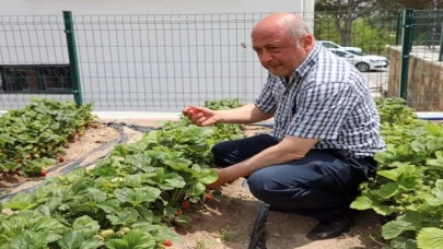 Kayseri Talas’tan deneme bahçelerine teşvik