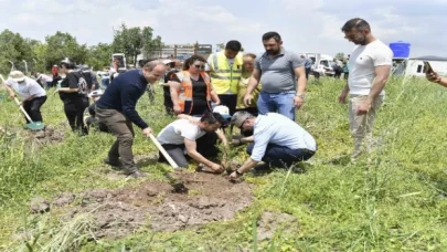 Kuraklığa karşı bin fidan