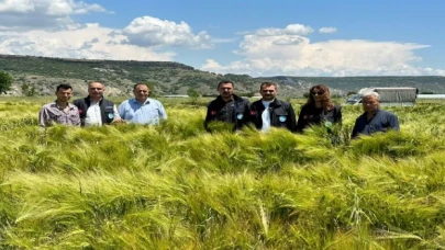 Manisa’da tohumların verimliliği yüzleri güldürüyor