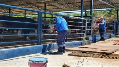 Muğla’da Büyükşehir tüm birimleri ile bayrama hazır