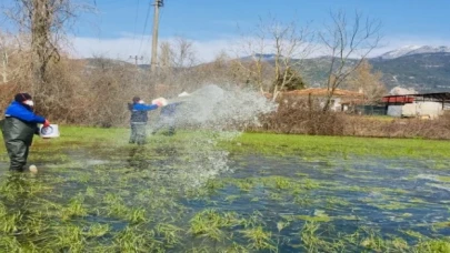 Muğla’da yağış sonrası vektörle mücadele sürüyor