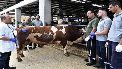 Osmangazi’de kurban yakalama timleri göreve hazır