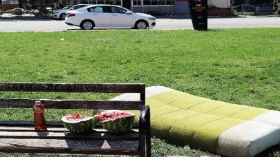 Parkta üzücü görüntüler: Şehir magandaları yine zarar verdi