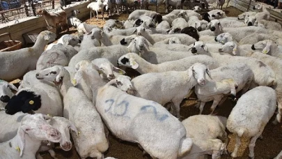 Selçuklu’da kurban satış ve kesim yerleri hazır