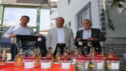 Sirke sineğine karşı Bursa’da tuzak dağıtımları sürüyor