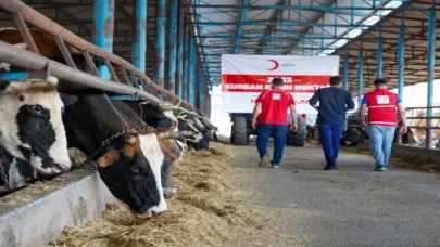 Türk Kızılayı kurban kesimlerini başlattı