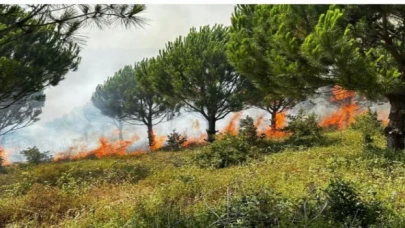 Bursa Karacabey’de ağaçlandırma sahasında yangın!