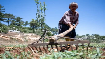 Büyükşehir desteğiyle çiftçinin yüzü gülüyor