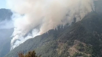 Çankırı'da ormanlık alanlara giriş yasaklandı