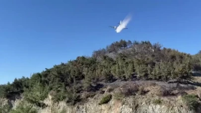 Hatay’da ormanlara girişler yasaklandı