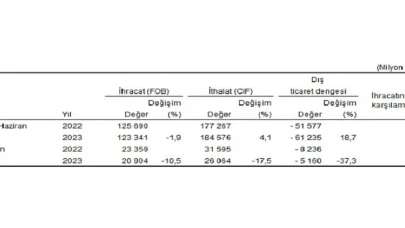 Haziran ayında genel ticaret sistemine göre ihracat yüzde 10,5, ithalat yüzde 17,5 azaldı