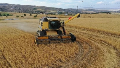 İlk hasadı Başkan Altınok yaptı