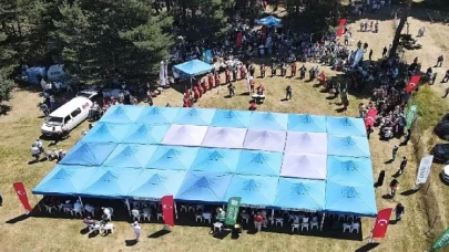 İznik Maviyemiş Festivali’ne yoğun ilgi