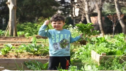 Kadıköy bostanlarında hasat zamanı