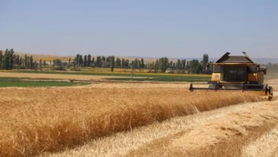 Karakılçık buğdayında hasat sevinci